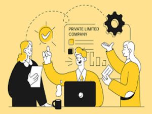 Private Limited Company Registration Online in India – Process